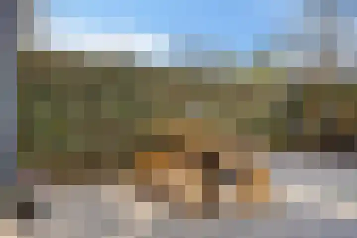 Klaproos 23 Eijsden thumbnail 27