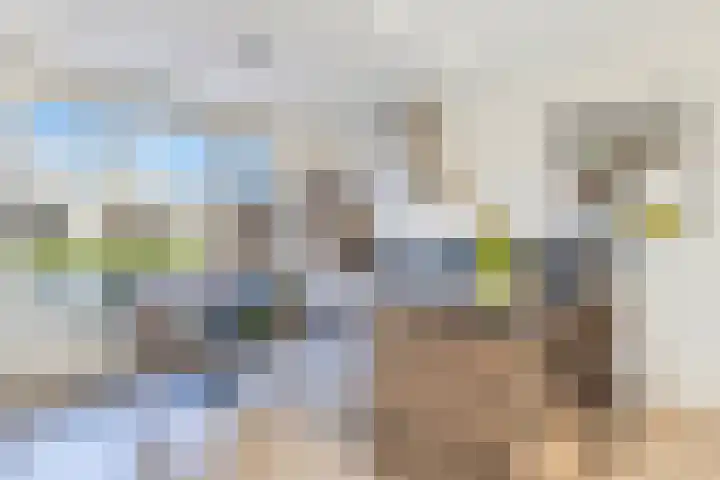 Klaproos 23 Eijsden thumbnail 5