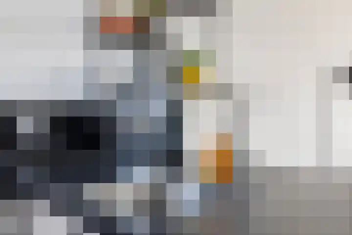 Klaproos 23 Eijsden thumbnail 8