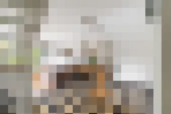 Klaproos 24 Leiden thumbnail 11