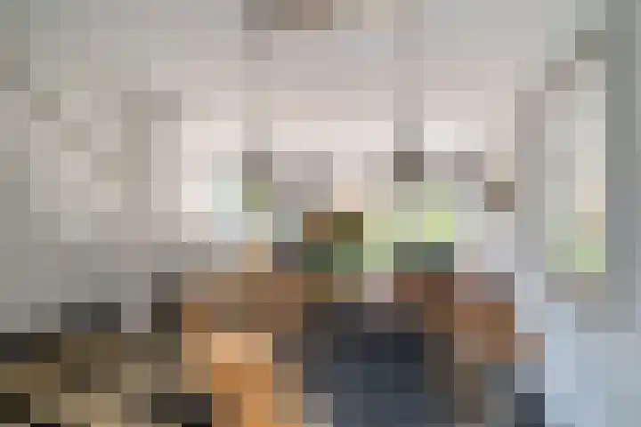 Klaproos 24 Leiden thumbnail 12