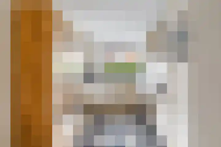 Klaproos 24 Leiden thumbnail 13