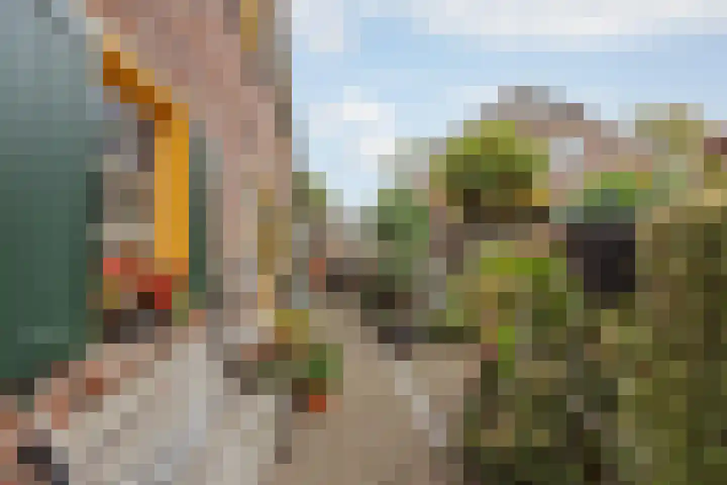 Klaproos 24 Leiden thumbnail 14