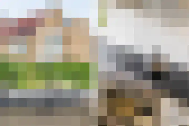 Klaproos 24 Leiden thumbnail 15