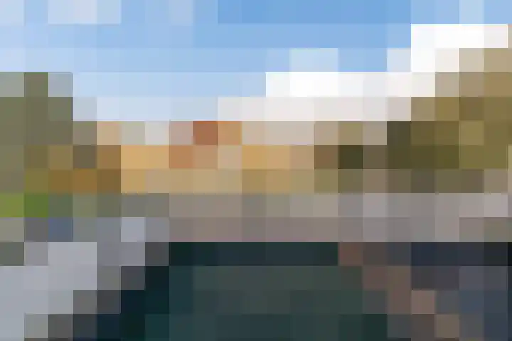 Klaproos 24 Leiden thumbnail 29