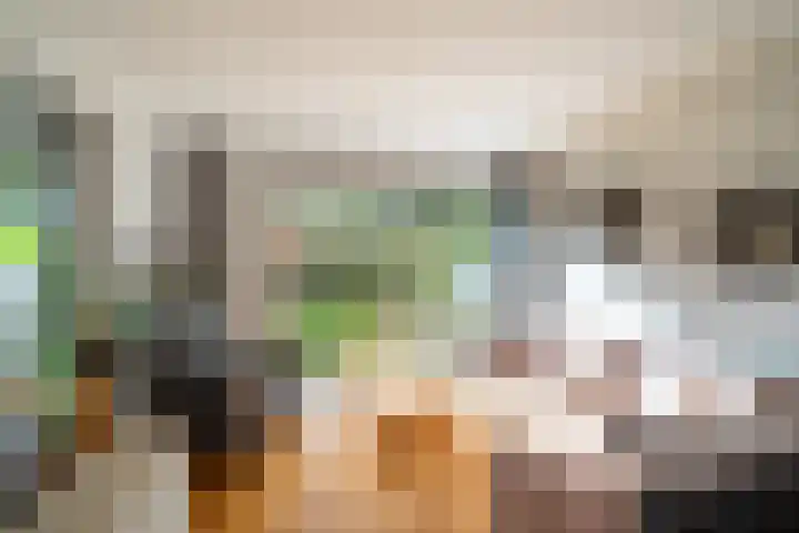 Klaproos 24 Leiden foto 3