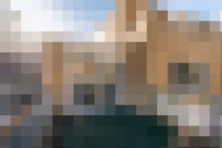 Klaproos 24 Leiden thumbnail 30