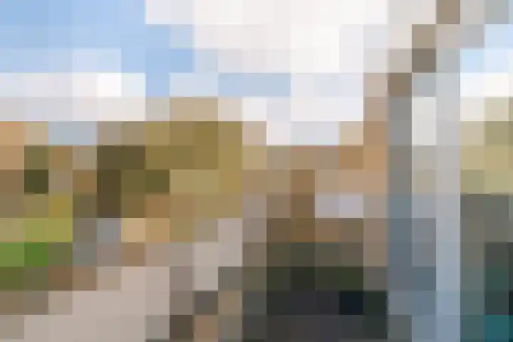 Klaproos 24 Leiden thumbnail 34