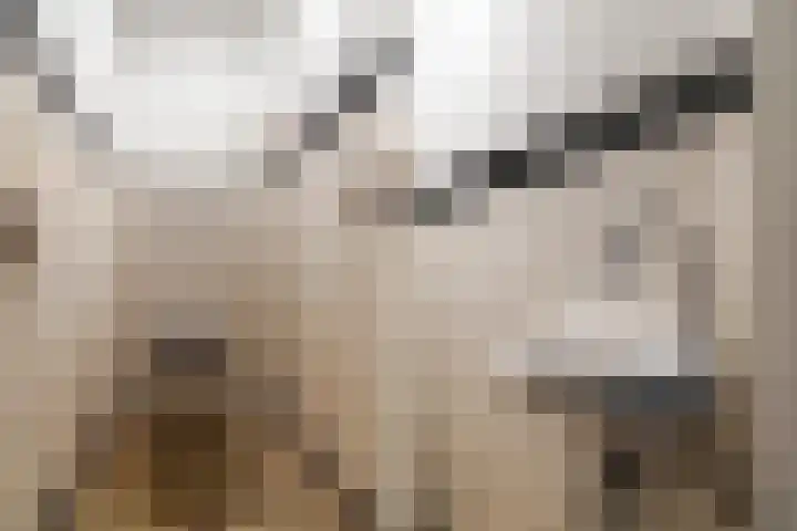 Klaproos 24 Leiden thumbnail 36