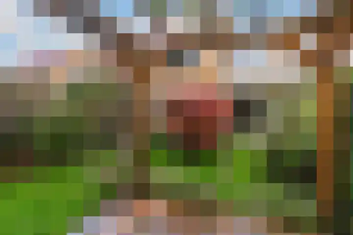 Klaproos 24 Leiden thumbnail 37