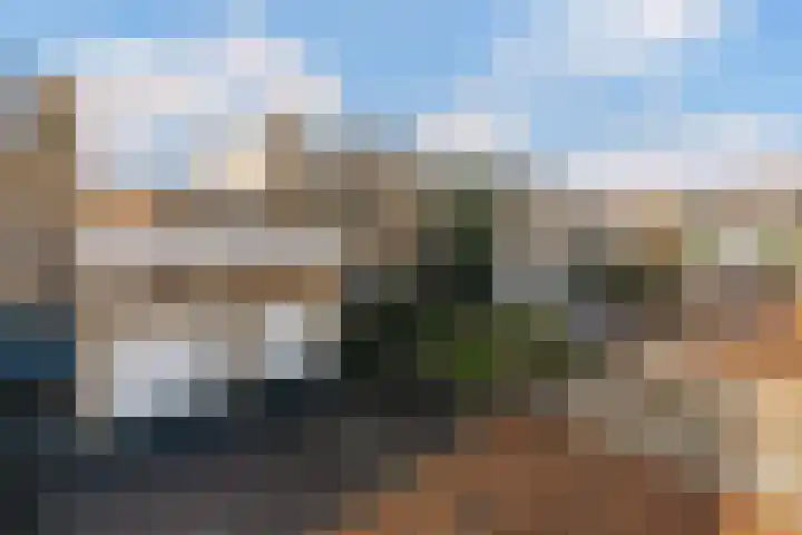 Klaproos 24 Leiden thumbnail 38