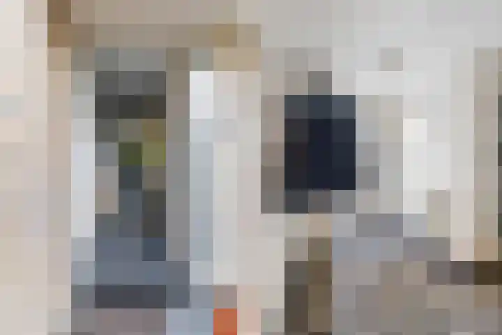 Klaproos 24 Leiden thumbnail 4