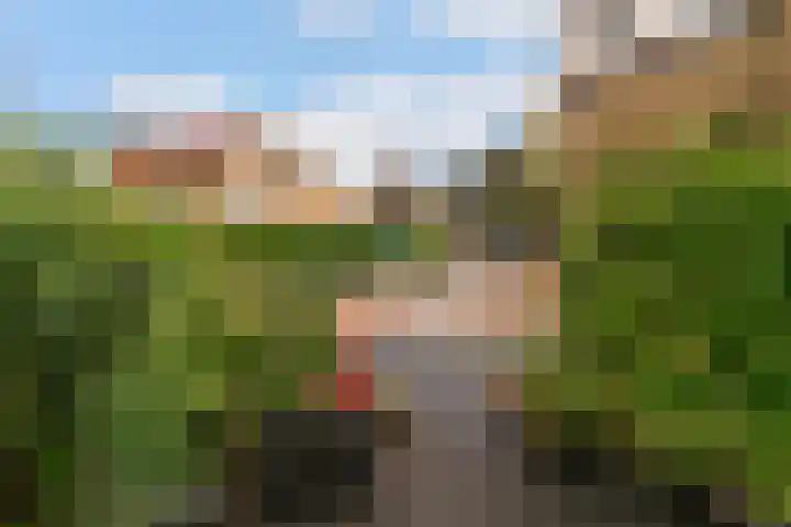 Klaproos 24 Leiden thumbnail 41