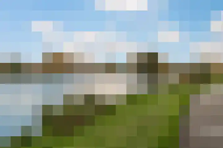 Klaproos 24 Leiden thumbnail 43