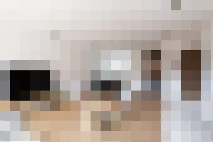 Klaproos 24 Leiden thumbnail 44