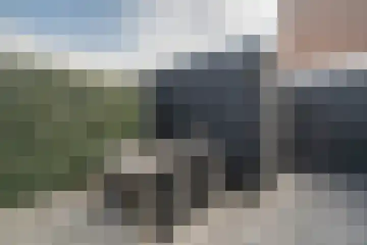 Klaproos 24 Leiden thumbnail 46