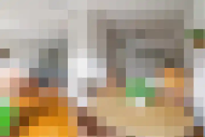 Klaproos 24 Leiden thumbnail 7