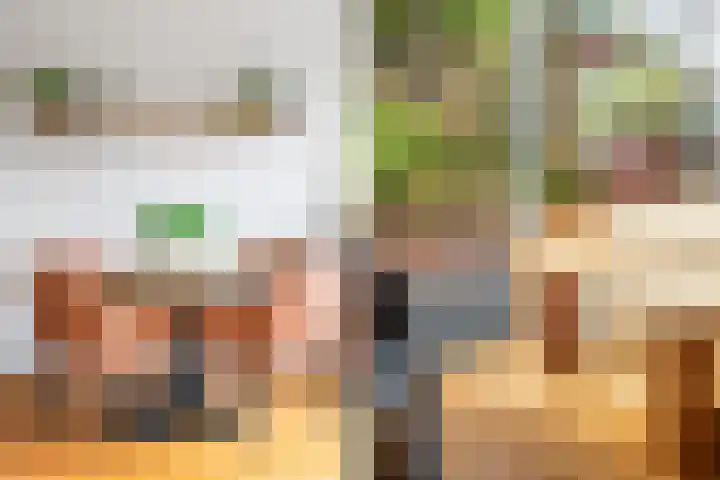 Klaproos 24 Leiden thumbnail 8