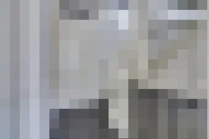 Klaproos 29 Dongen thumbnail 13