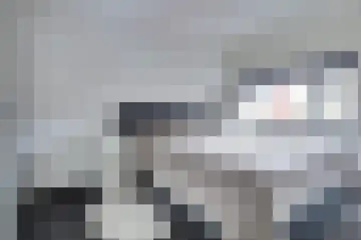 Klaproos 29 Dongen thumbnail 14