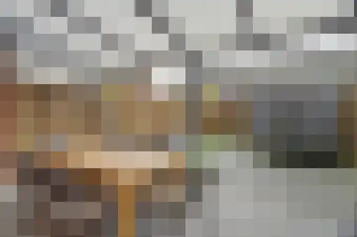 Klaproos 29 Dongen thumbnail 22