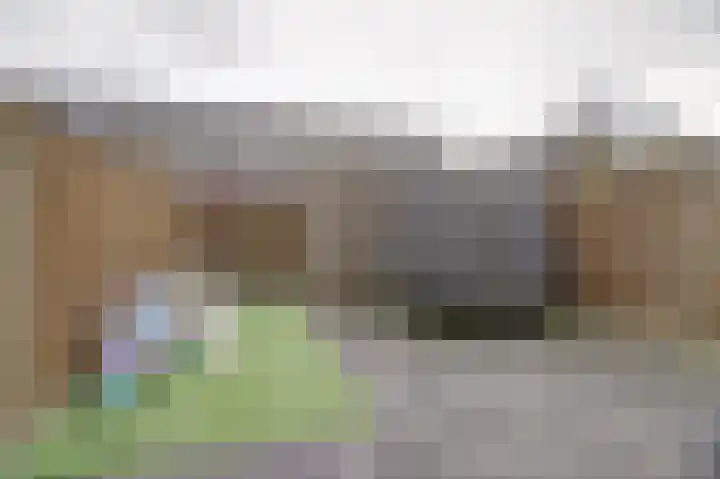 Klaproos 29 Dongen thumbnail 23