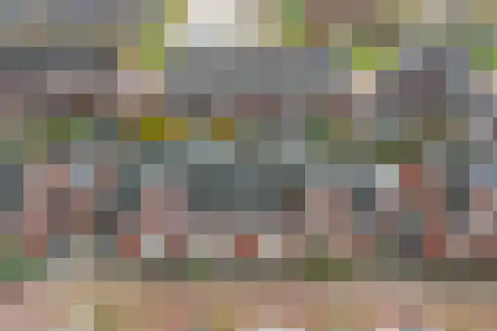 Klaproos 29 Dongen thumbnail 26