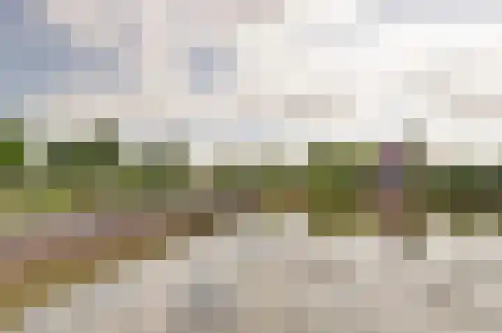 Klaproos 29 Dongen thumbnail 28