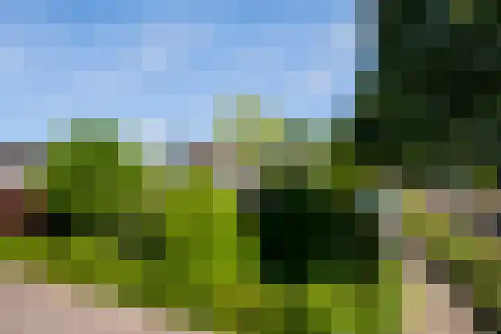 Klaproos 3 Didam