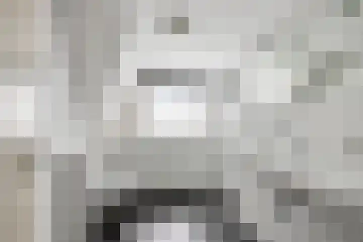 Klaproos 3 Didam thumbnail 24