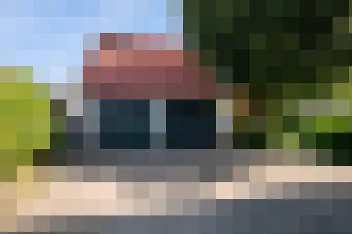 Klaproos 3 Didam thumbnail 26