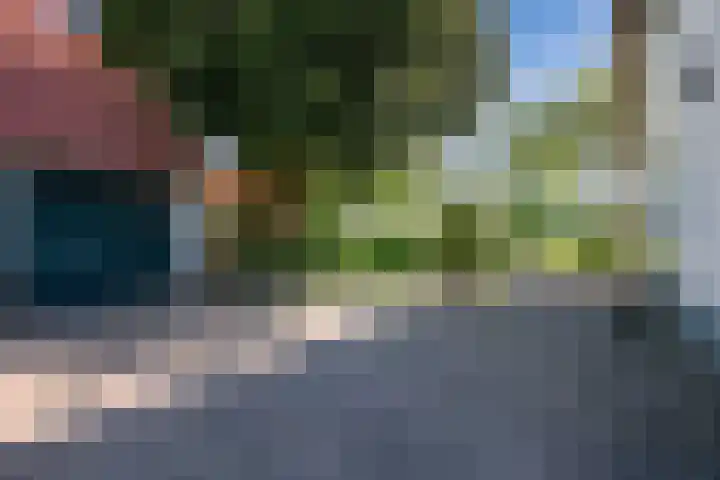 Klaproos 3 Didam thumbnail 28