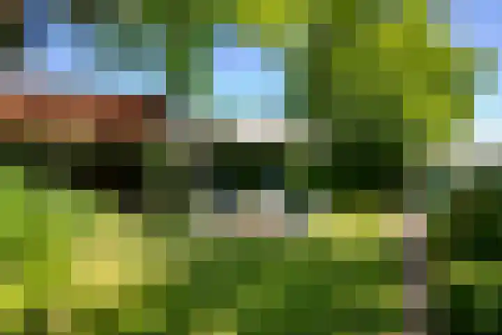 Klaproos 3 Didam thumbnail 29