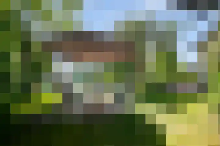 Klaproos 3 Didam thumbnail 32