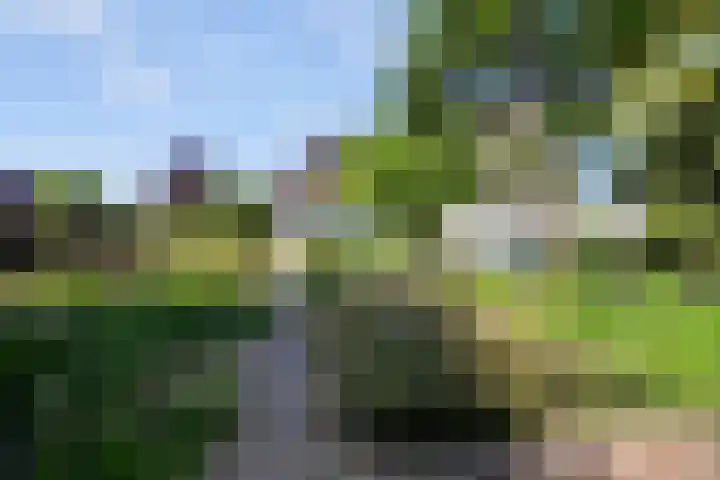 Klaproos 3 Didam thumbnail 34