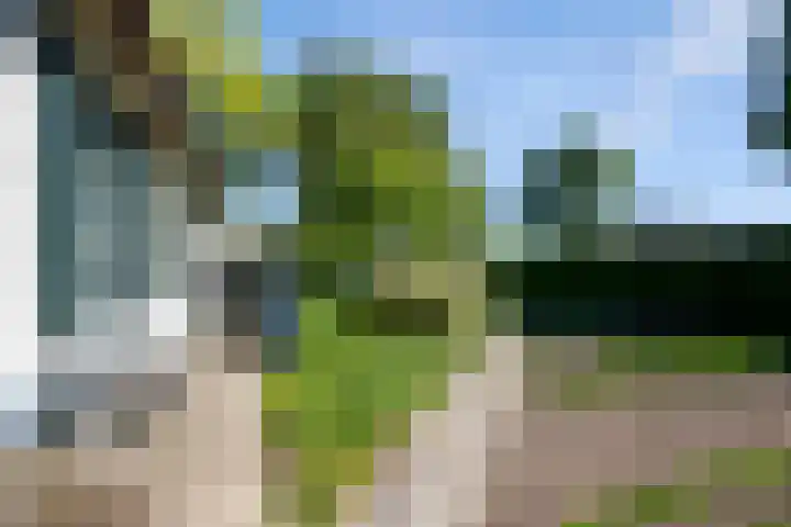 Klaproos 3 Didam thumbnail 35