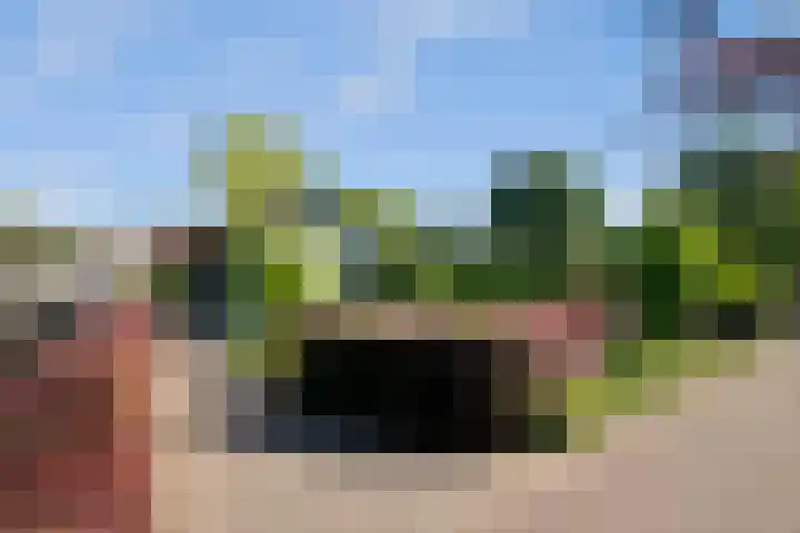 Klaproos 3 Didam thumbnail 37