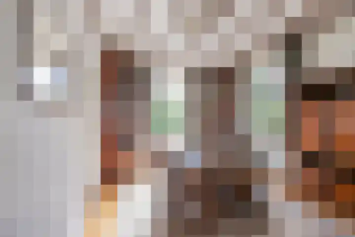 Klaproos 3 Didam thumbnail 8