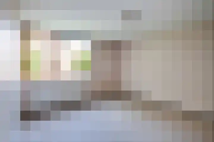 Klaproos 31 Barendrecht thumbnail 11