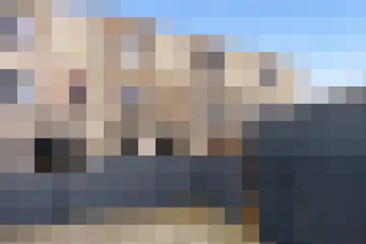 Klaproos 48 Lelystad thumbnail 64
