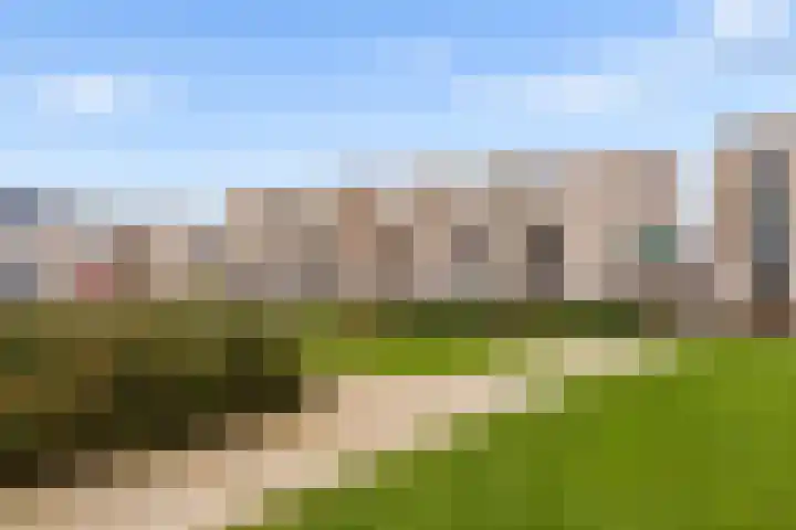 Klaproos 48 Lelystad thumbnail 68