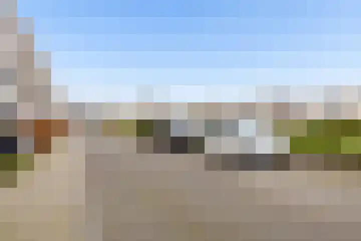 Klaproos 48 Lelystad thumbnail 69