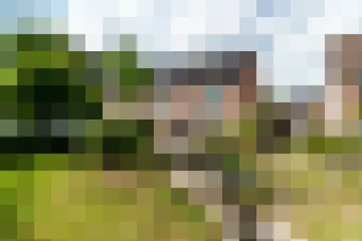 Klaproos 51 Hardenberg thumbnail 34