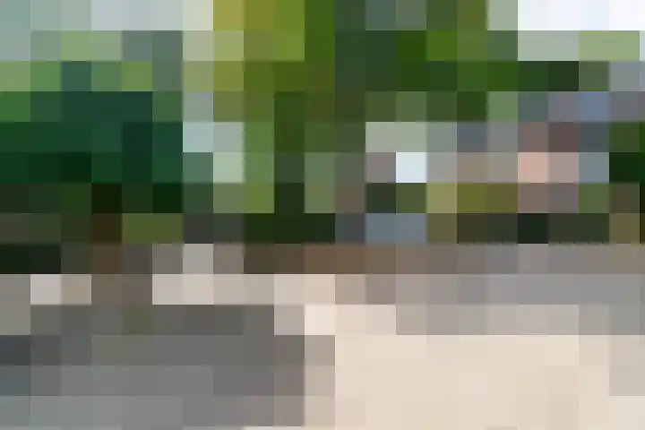 Klaproos 51 Hardenberg thumbnail 39