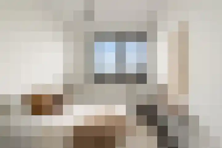 Klaproos 51 Lelystad thumbnail 12