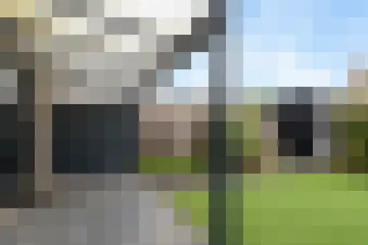 Klaproos 51 Lelystad thumbnail 31