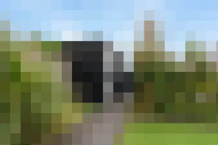 Klaproos 51 Lelystad thumbnail 32