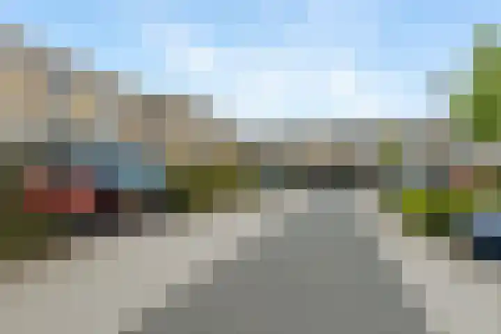 Klaproos 51 Lelystad thumbnail 33