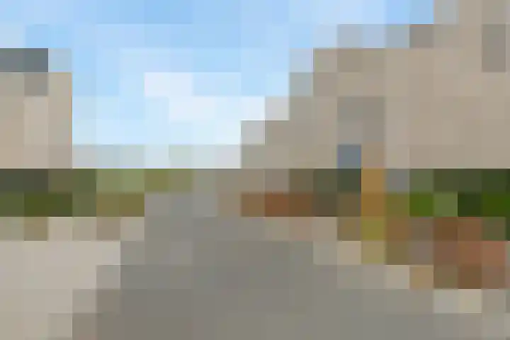 Klaproos 51 Lelystad thumbnail 34