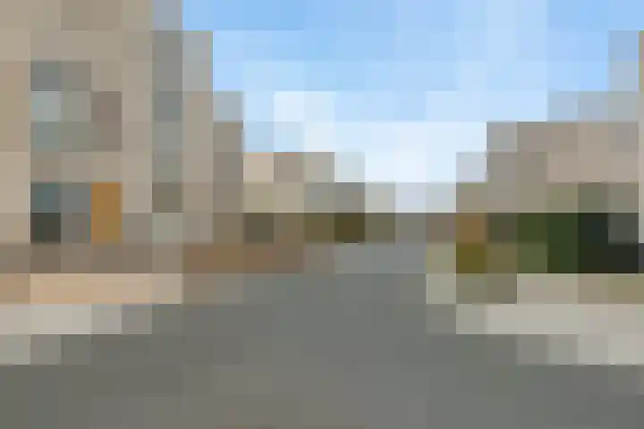 Klaproos 51 Lelystad thumbnail 35